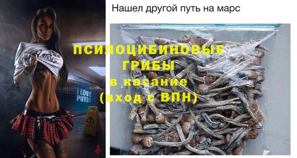 PSILOCYBIN Балабаново