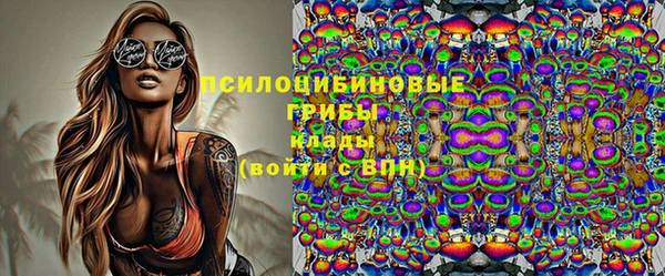 PSILOCYBIN Балабаново