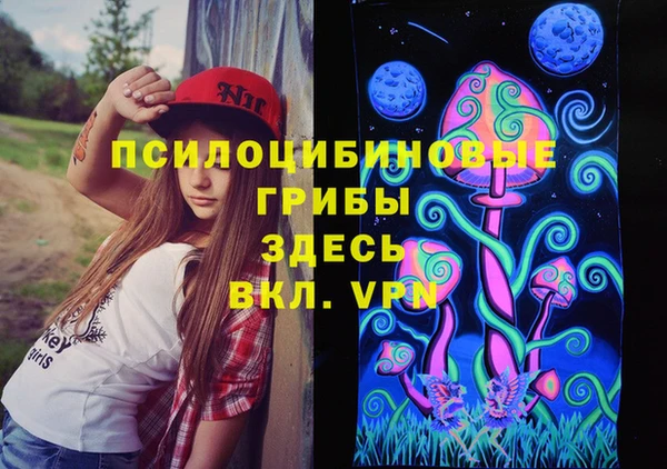 PSILOCYBIN Балабаново