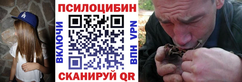 Псилоцибиновые грибы Cubensis  мориарти состав  Петухово 